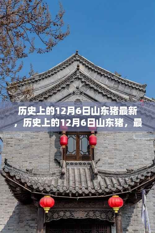 历史上的12月6日山东猪最新资讯与深度分析,最新动态与指南