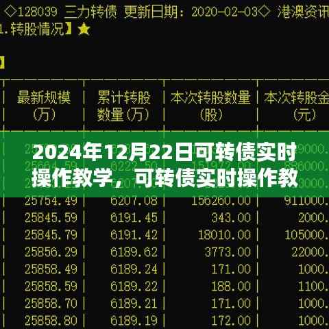 2024年可转债实时操作深度解析与教学体验报告，从入门到精通的实战指南