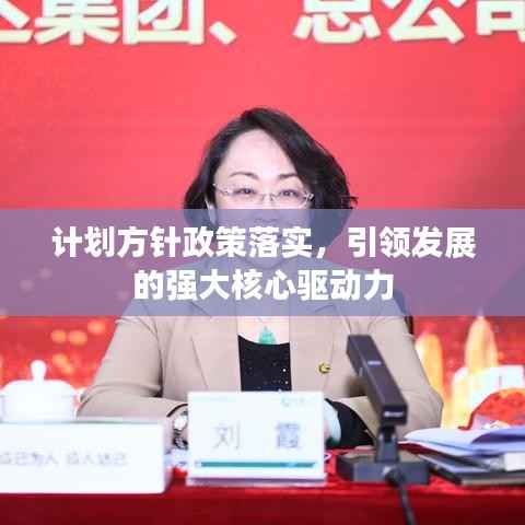 计划方针政策落实，引领发展的强大核心驱动力