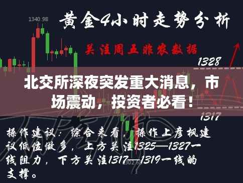 北交所深夜突发重大消息,市场震动,投资者必看!