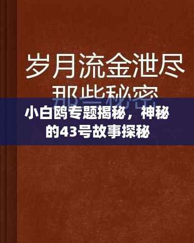 小白鸥专题揭秘，神秘的43号故事探秘