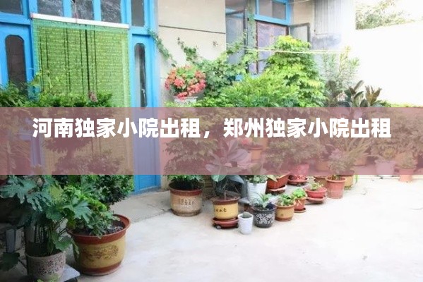 河南独家小院出租,郑州独家小院出租