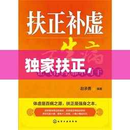 zhanchiyufei 第11页