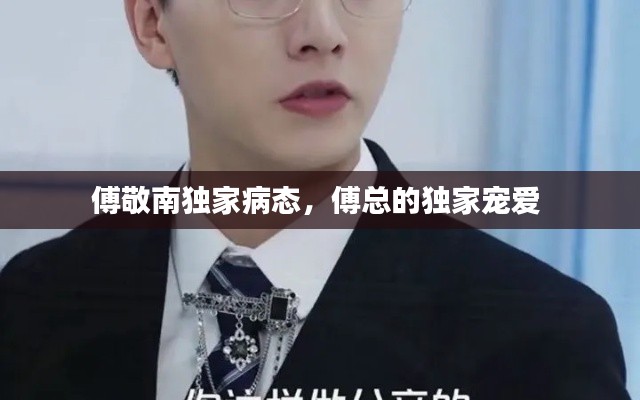 傅敬南独家病态，傅总的独家宠爱 