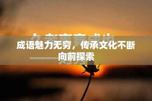 成语魅力无穷,传承文化不断向前探索
