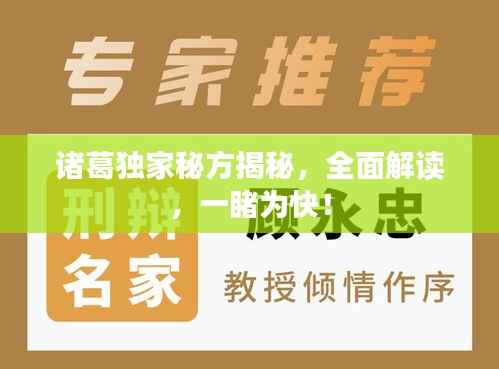 诸葛独家秘方揭秘,全面解读,一睹为快!
