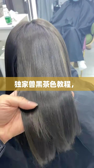 xingjirufei 第12页