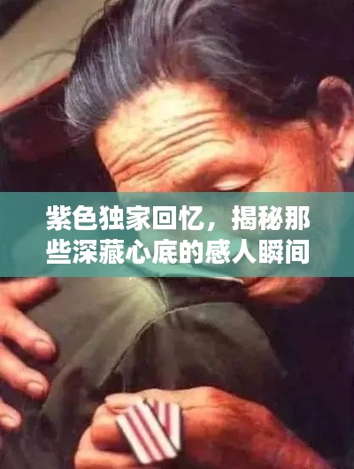 紫色独家回忆,揭秘那些深藏心底的感人瞬间