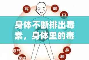 身体不断排出毒素,身体里的毒素排不出来是什么原因