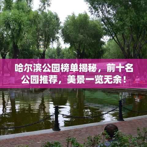 哈尔滨公园榜单揭秘,前十名公园推荐,美景一览无余!