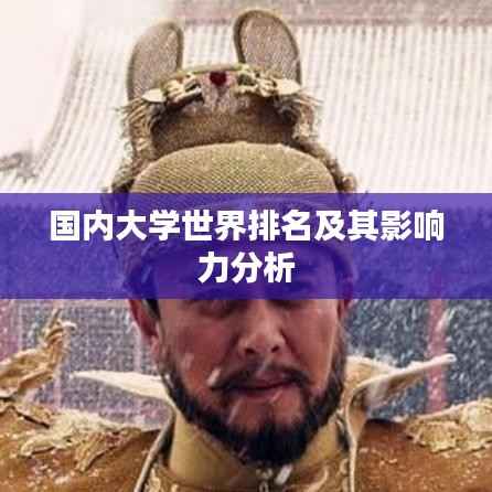 国内大学世界排名及其影响力分析