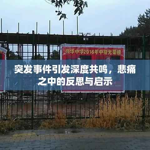 突发事件引发深度共鸣,悲痛之中的反思与启示