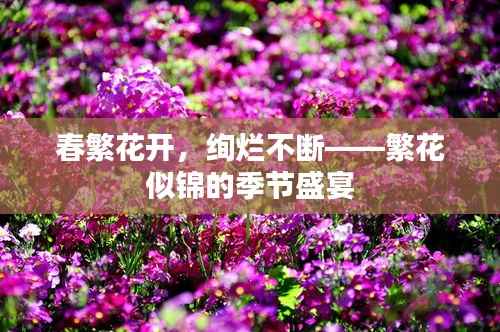 春繁花开,绚烂不断——繁花似锦的季节盛宴