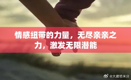 情感纽带的力量,无尽亲亲之力,激发无限潜能