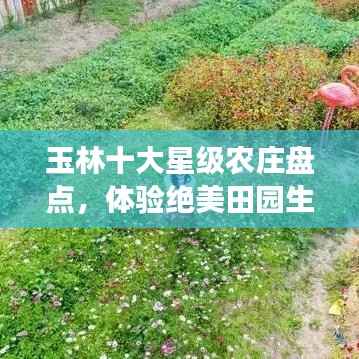 玉林十大星级农庄盘点,体验绝美田园生活的梦幻之地