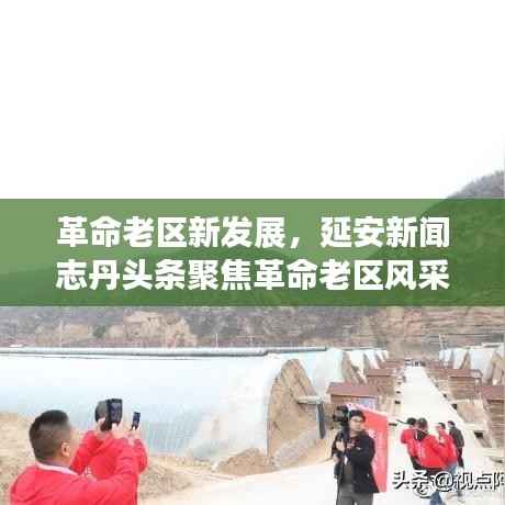 革命老区新发展,延安新闻志丹头条聚焦革命老区风采