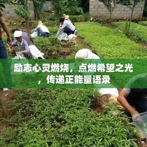 励志心灵燃烧,点燃希望之光,传递正能量语录