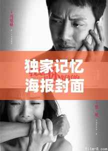 独家记忆海报封面,艺术与情感的绝美交融