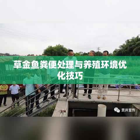 草金鱼粪便处理与养殖环境优化技巧