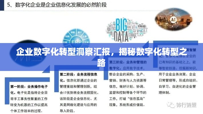 企业数字化转型洞察汇报,揭秘数字化转型之路
