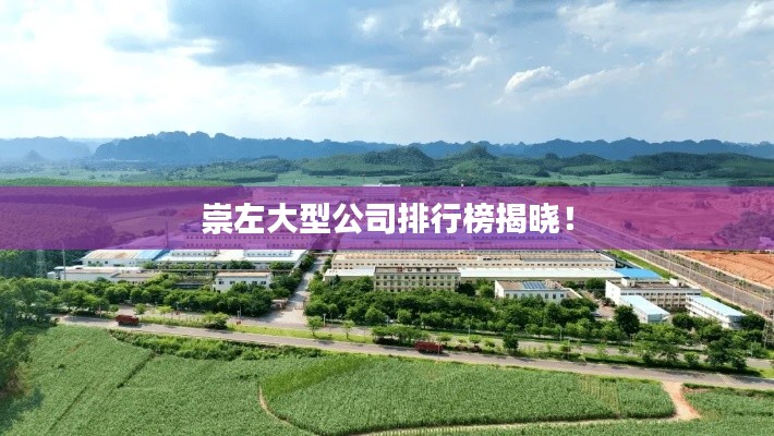 yongrongyabu 第8页