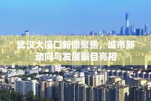 武汉大溪口新闻聚焦，城市新动向与发展瞩目亮相