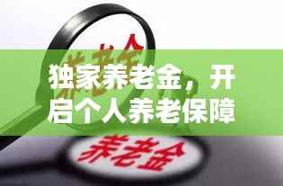 独家养老金,开启个人养老保障新篇章
