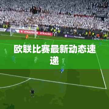 欧联比赛最新动态速递