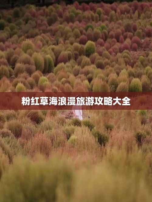 粉红草海浪漫旅游攻略大全