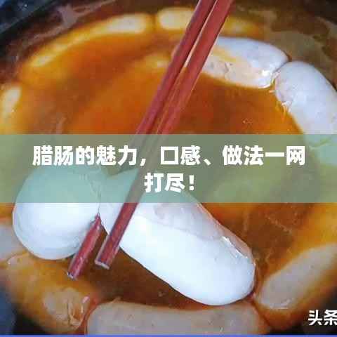 dushihaoxue 第7页