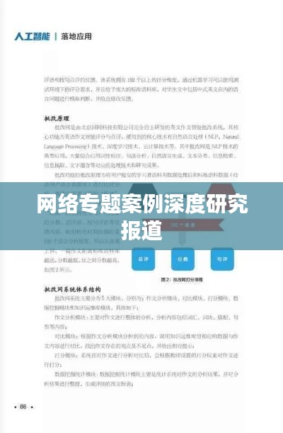 网络专题案例深度研究报道