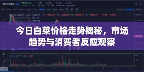 今日白菜价格走势揭秘,市场趋势与消费者反应观察