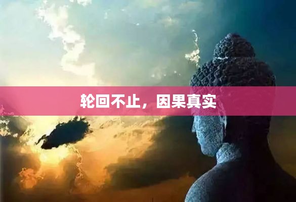 轮回不止,因果真实