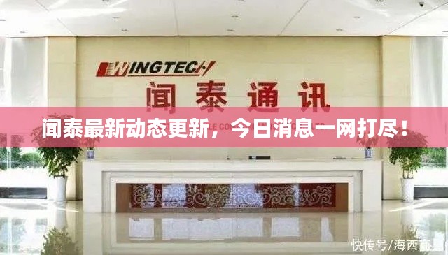 闻泰最新动态更新,今日消息一网打尽!