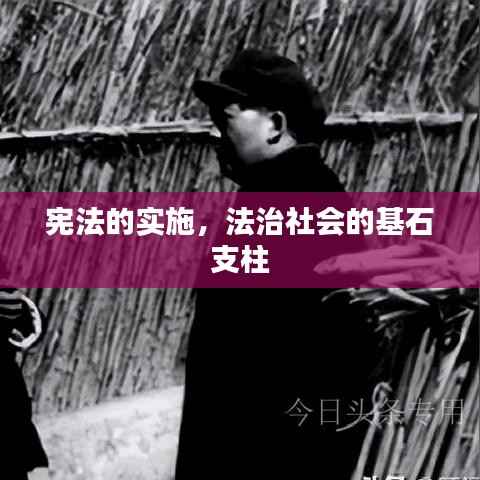 宪法的实施，法治社会的基石支柱