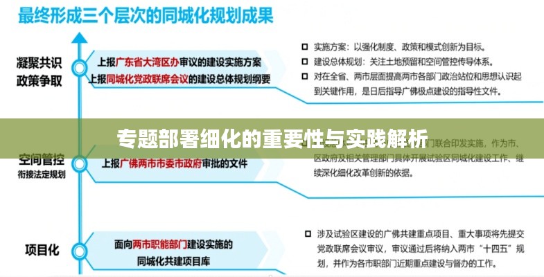 专题部署细化的重要性与实践解析